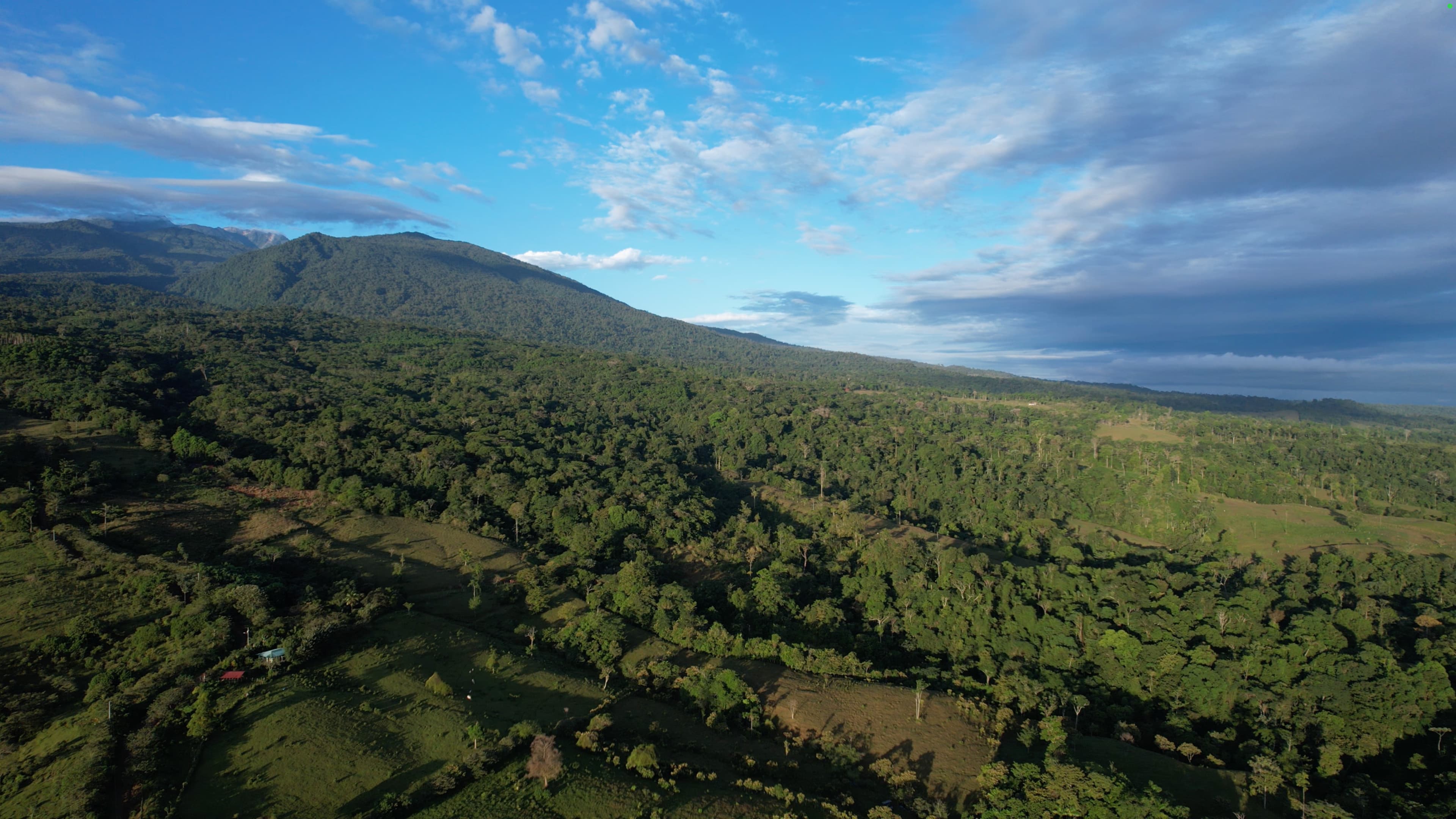Aerial view of the land